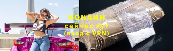 не бодяженный Бородино