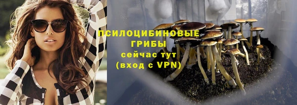 не бодяженный Бородино