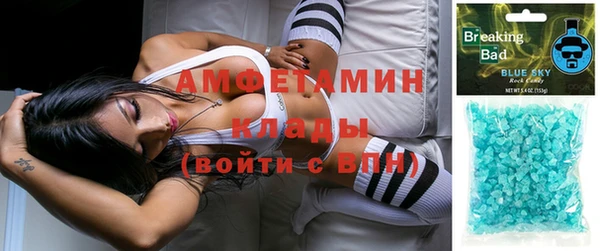не бодяженный Бородино